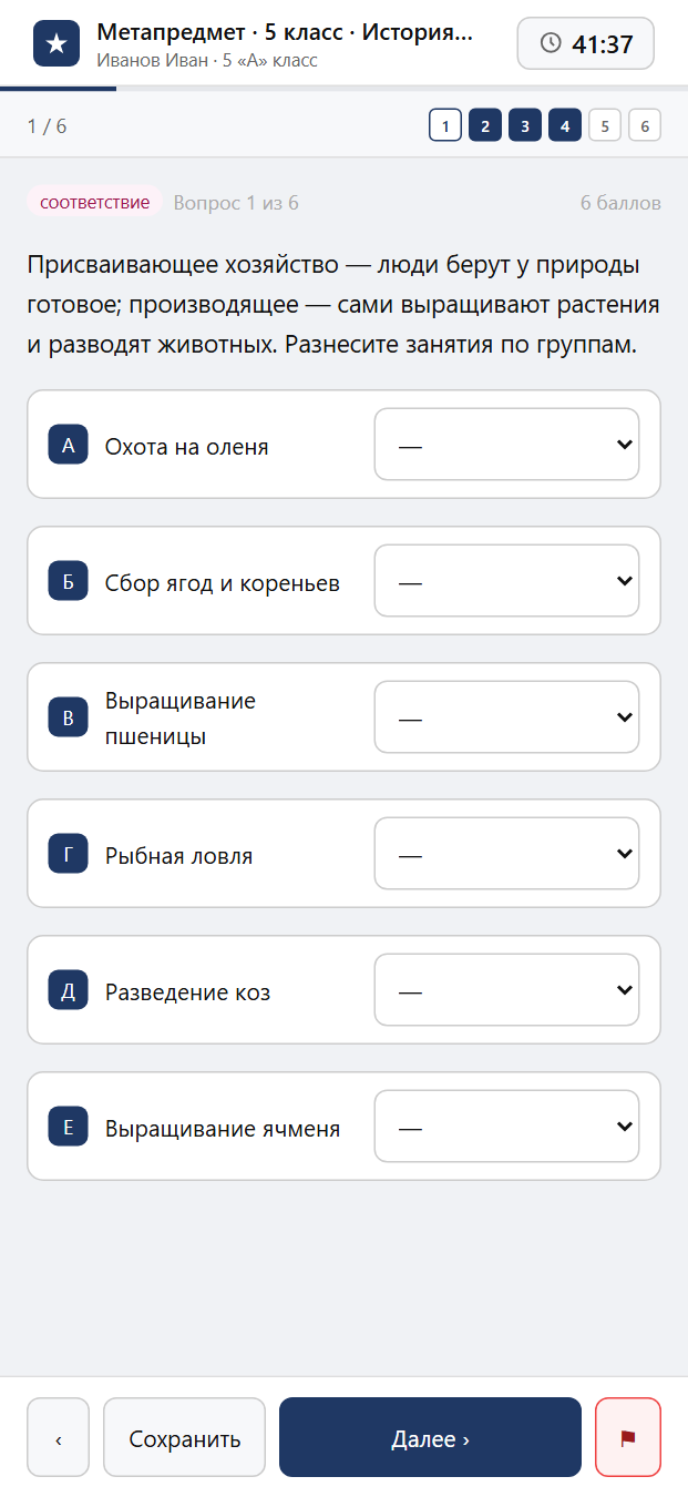 Тест «Метапредмет · 5 класс · История · Группировка (классификация)» на смартфоне — адаптивный интерфейс прохождения теста