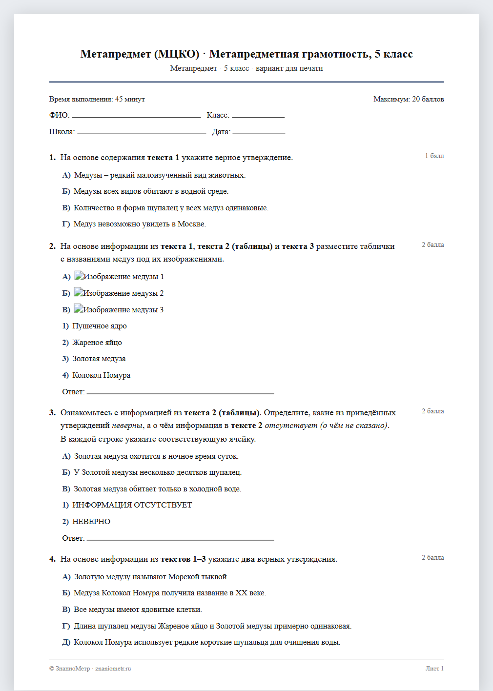 Тест «Метапредмет (МЦКО) · Метапредметная грамотность, 5 класс» в виде PDF для печати — вариант для очного проведения